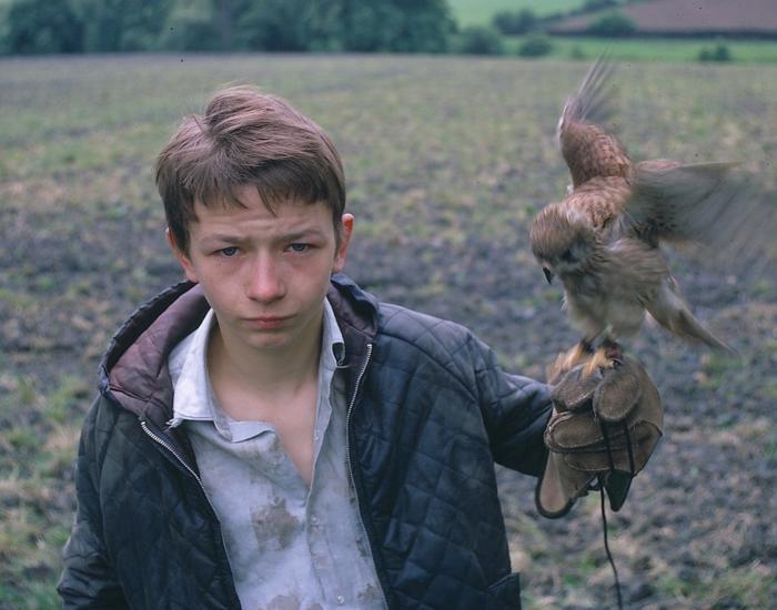 My Movie: Kes image