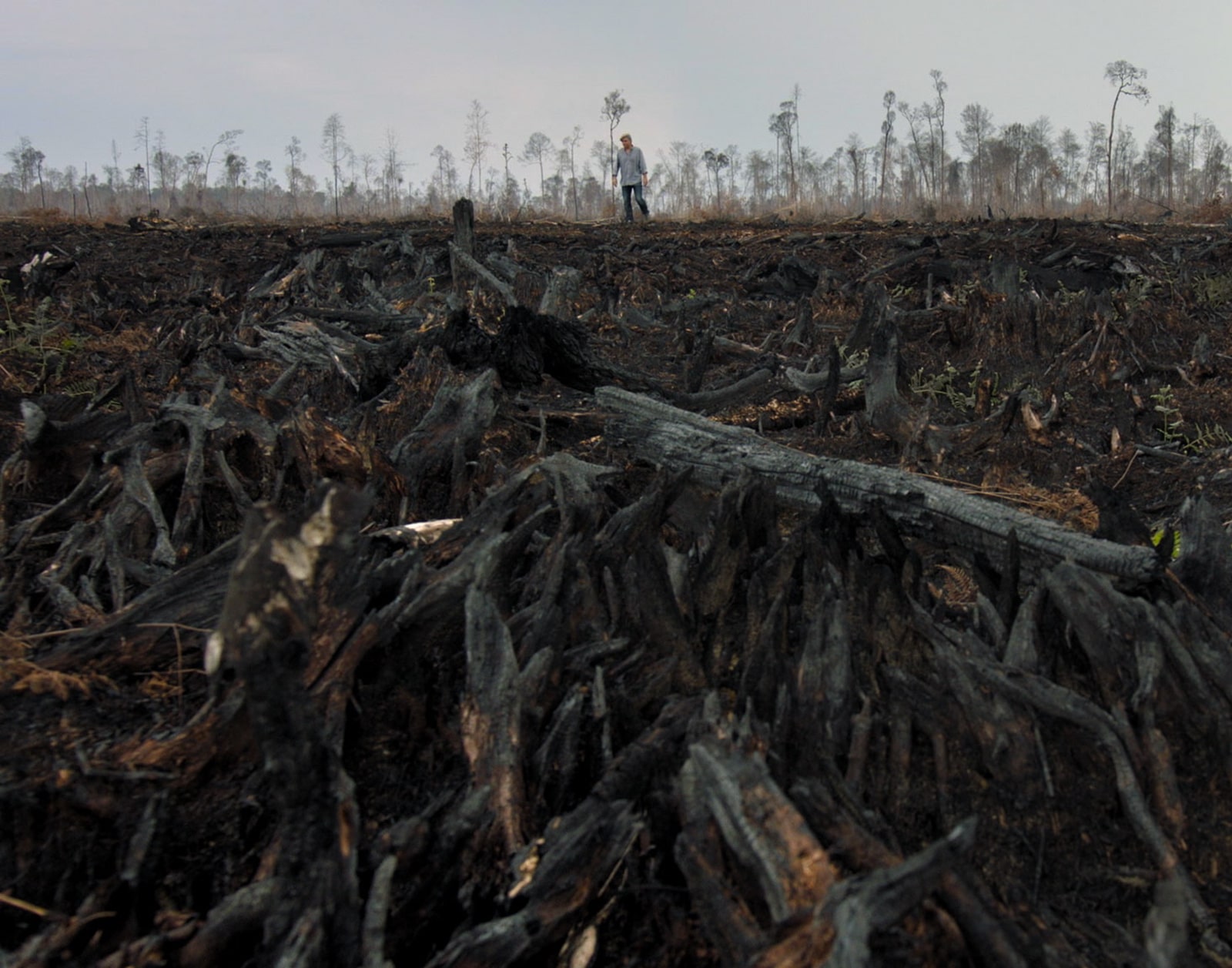 The Green Lie Broadway