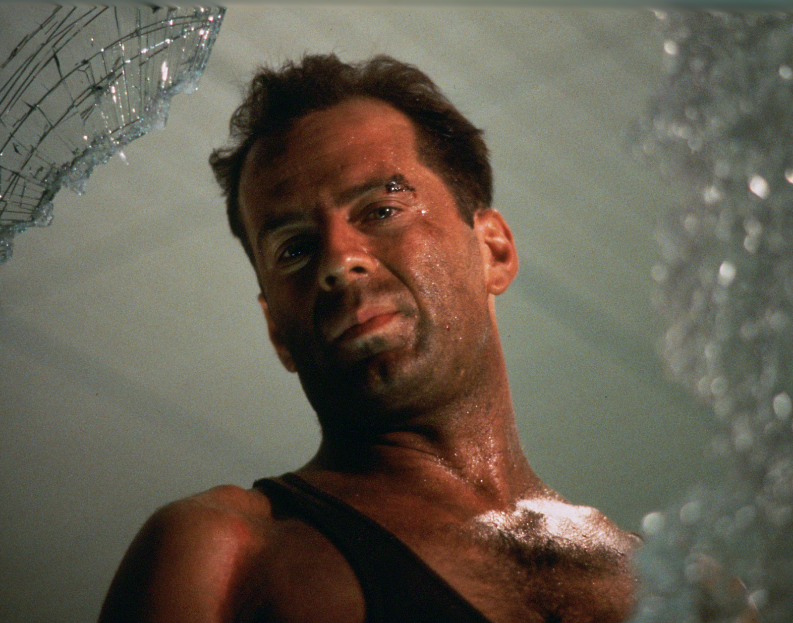 Die Hard image