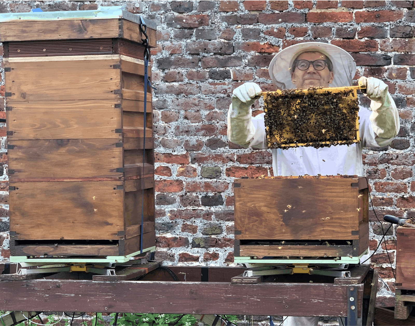 The Hive presents: The Little Bees That Can Do Big image