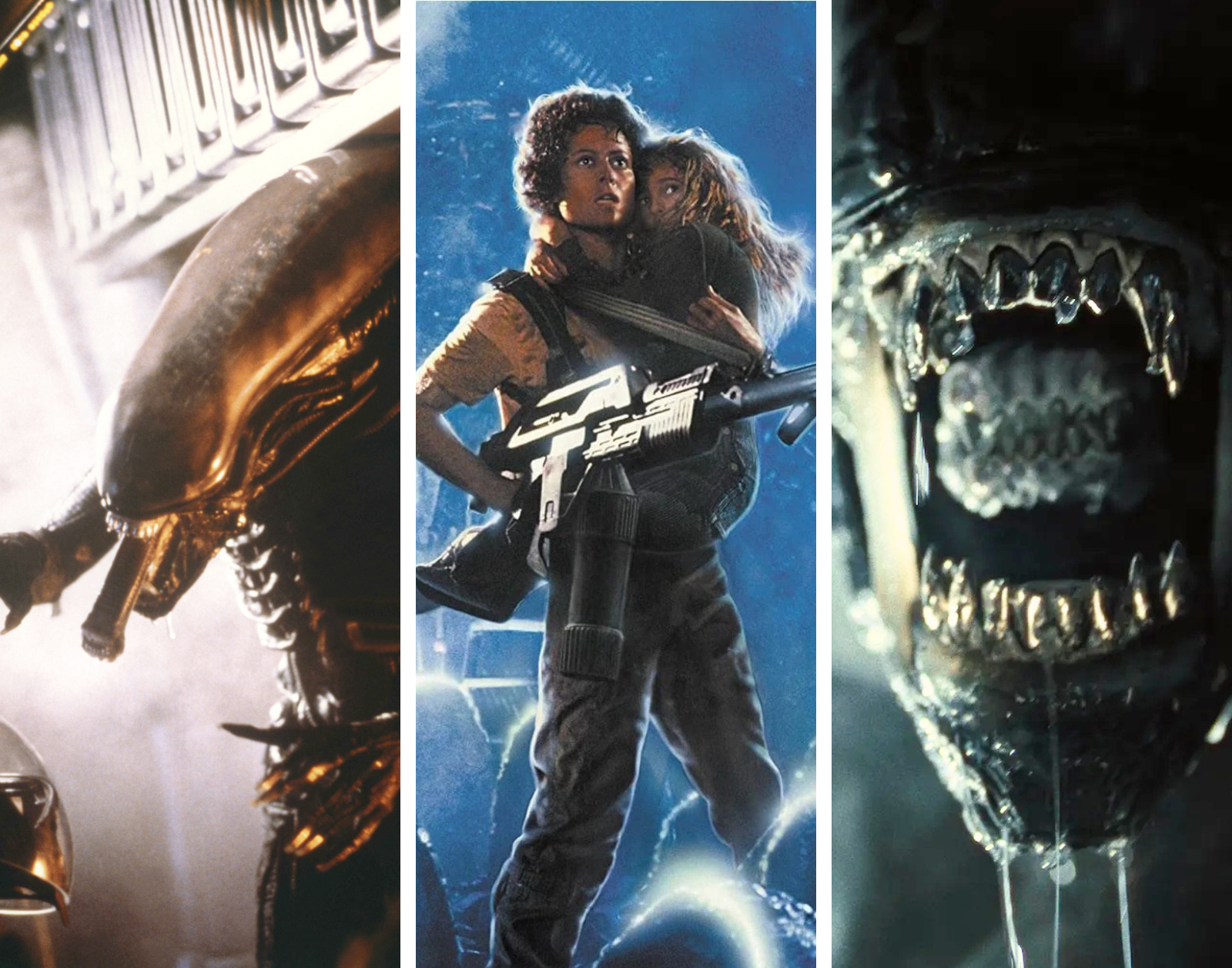 Alien: Evolution of a Franchise  image