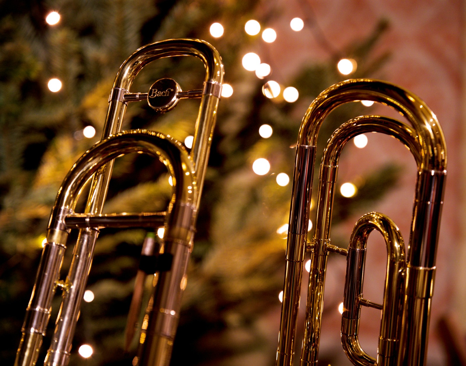 Christmas on the Terrace with the Carlton Brass Band and Tuneless Choir image