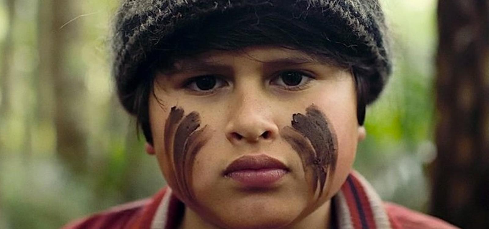Image result for Hunt for the wilderpeople