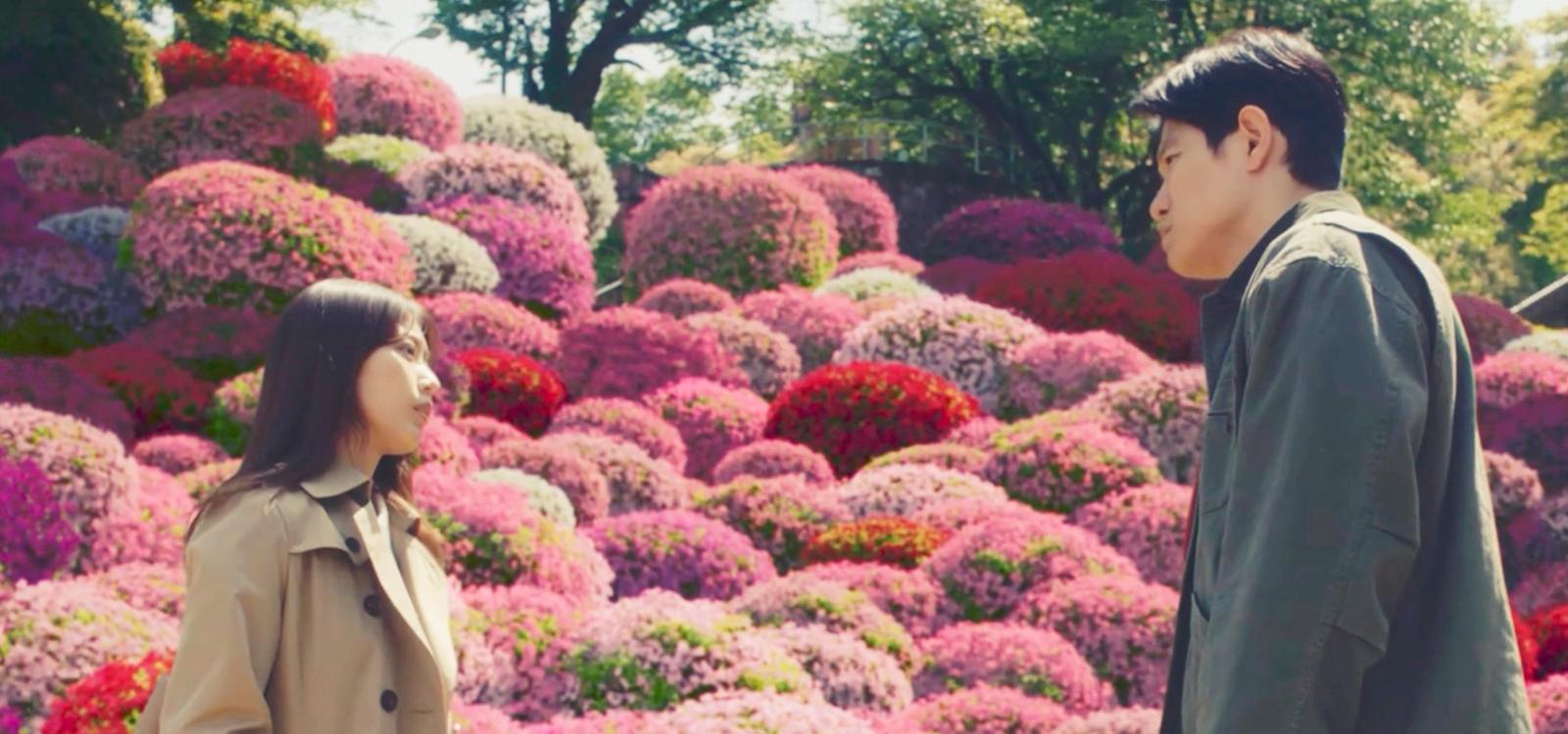 Petals and Memories image