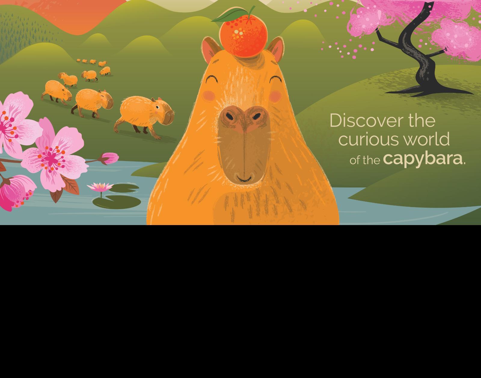 Illustrated storybook-style film poster. A smiling orange capybara sits in water with a small orange on its head, surrounded by green hills, a red volcano, and pink cherry blossom. Text: "The Route To Cappyness — in cinemas September 19. A film by Sharon Walia. Discover the curious world of the capybara."