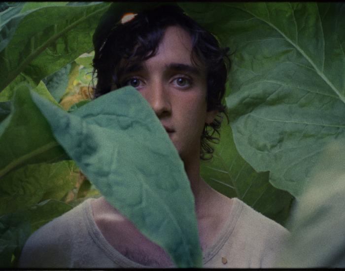 HAPPY-AS-LAZARRO-BANNER