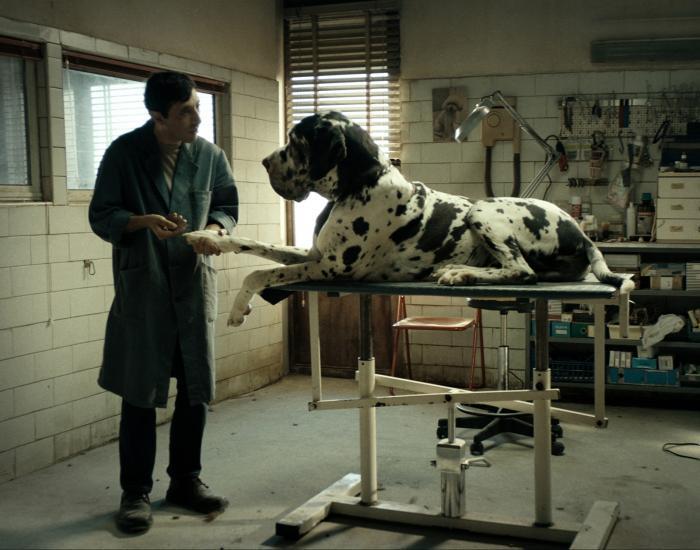 Dogman