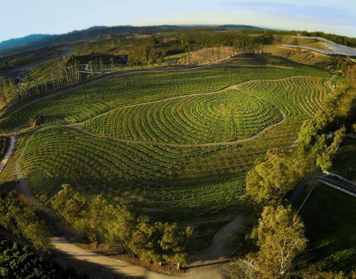 The Biggest Little Farm