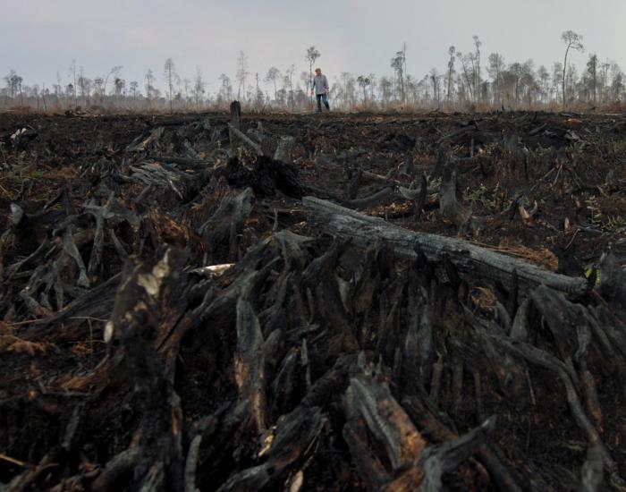 THE-GREEN-LIE-BANNER