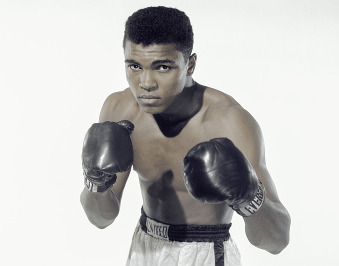 Cassius image