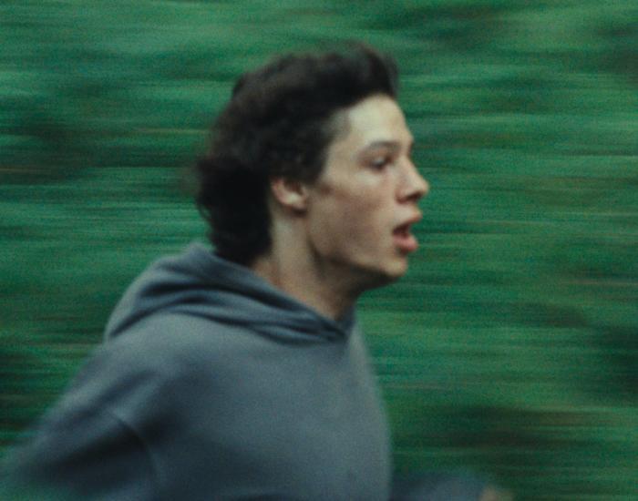 The Animal Kingdom image