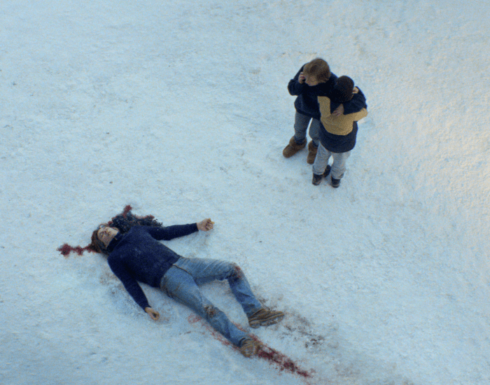 Anatomy of a Fall image