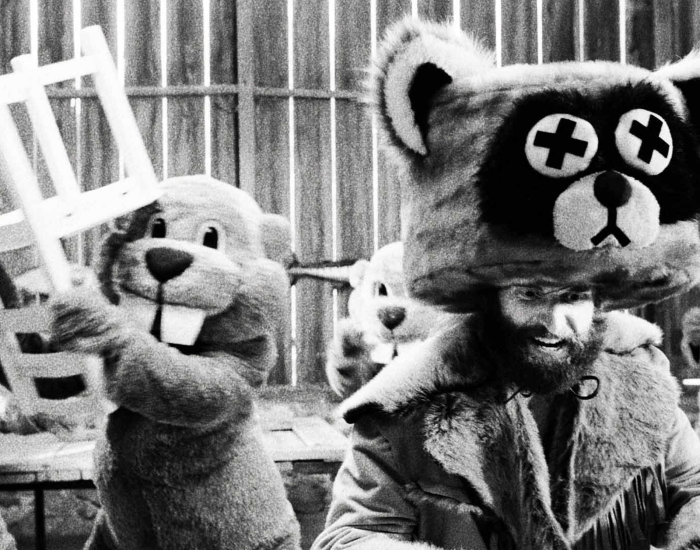 Hundreds of Beavers image