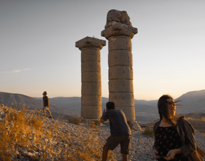About Dry Grasses image