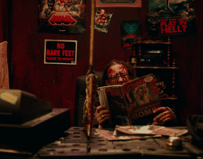 The Last Video Store image