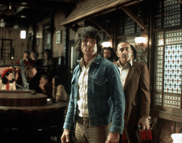 The Parallax View image