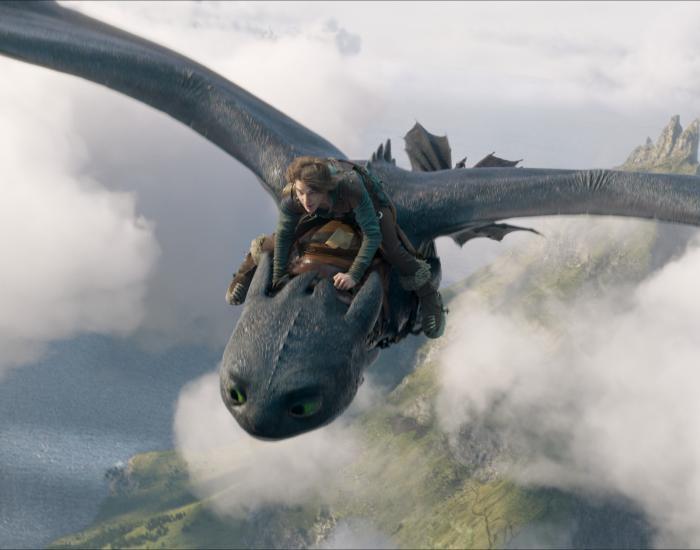 How to Train Your Dragon image