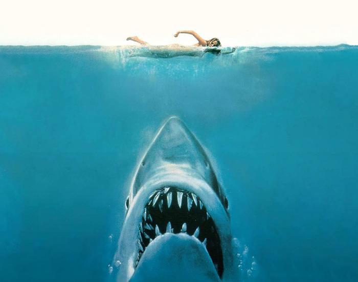 Jaws image