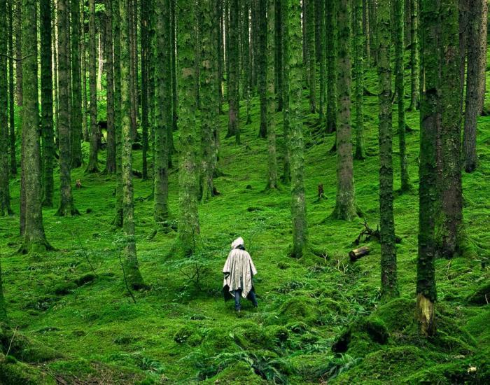 All Falls Down promotional image of a figure wearing a cloak walking through a forest