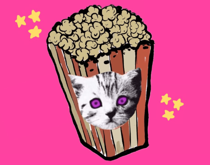 On an electric pink background is an illustration of a popcorn bag and a cat picture wth bright purple eyes layered on top with yellow drawn stars around the image