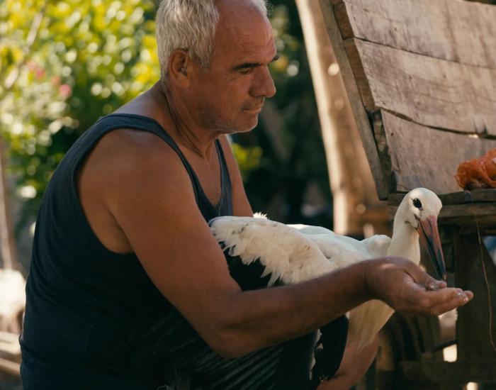 The Tale of Silyan image