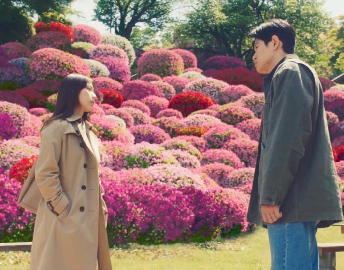 Petals and Memories image