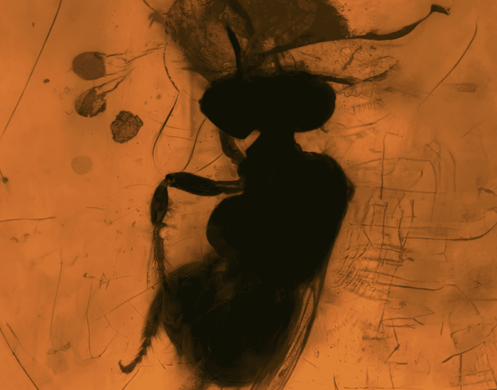 Wolfgang Buttress presents TO BE – Performed by Karman Live Collective image