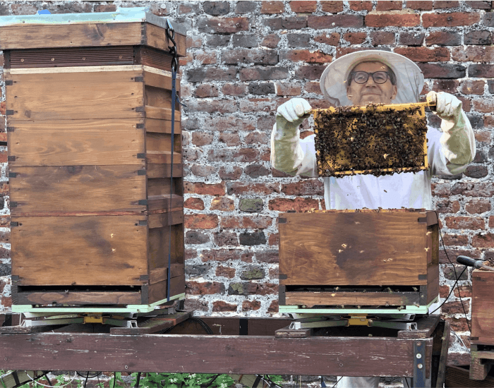 The Hive presents: The Little Bees That Can Do Big image