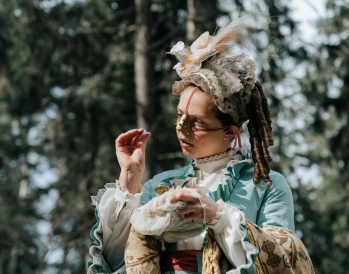 The Ugly Stepsister image