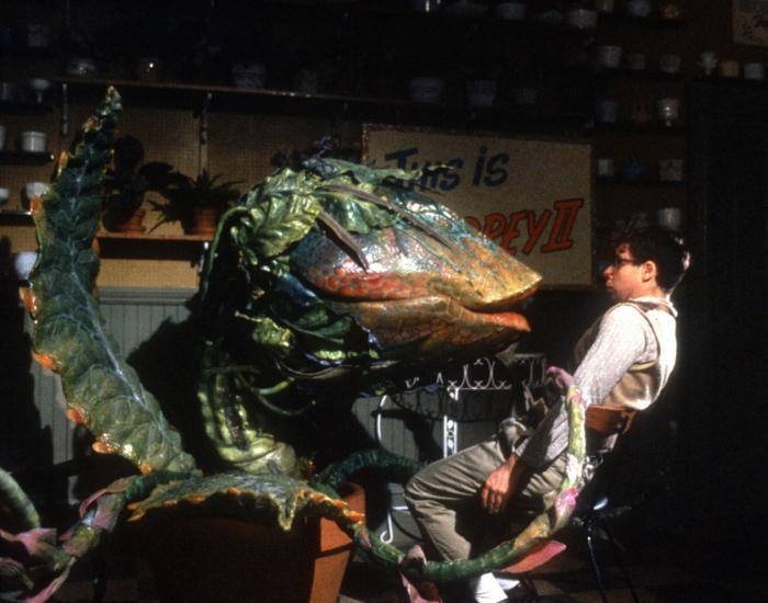 Nottingham Puppet Festival: Little Shop of Horrors - 40th Anniversary + Intro image