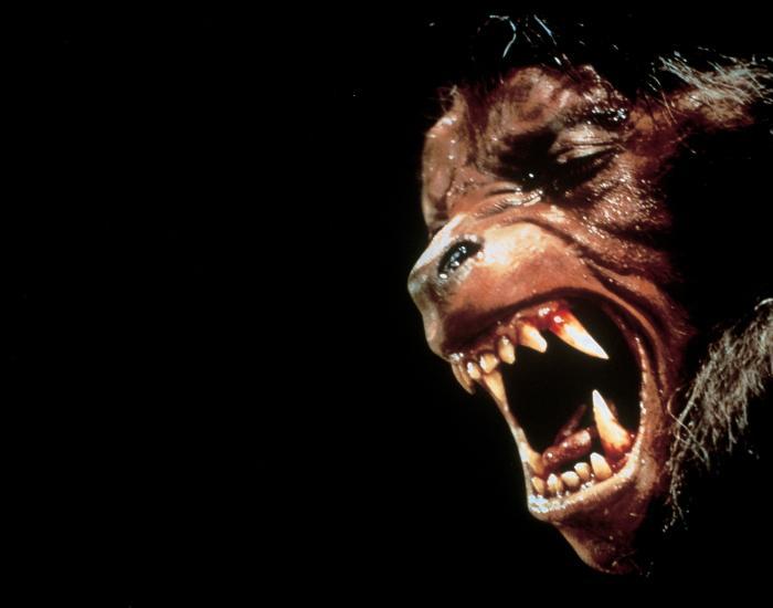 American_Werewolf_Banner