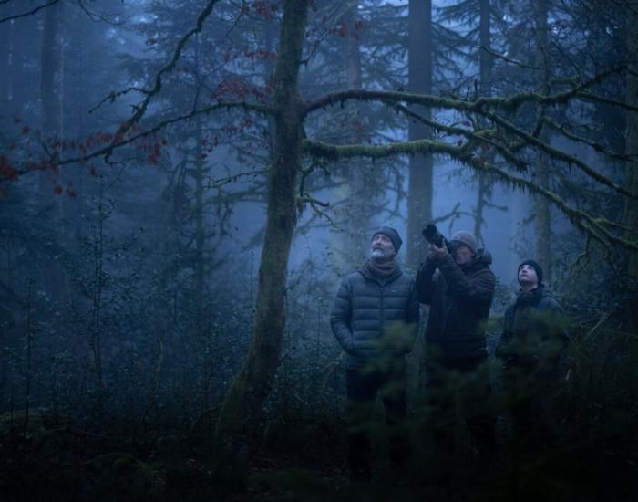 Whispers in the Woods image