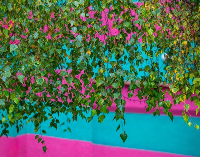 Outside-Broadway-Graffiti-Wall