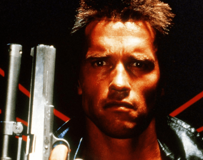 the-terminator-image